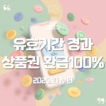 🎁 유효기간 지난 상품권, 이제 💯% 환급된다! 놓치면 손해인 새 소비자 정책 10 🎁 유효기간 지난 상품권, 이제 💯% 환급된다! 놓치면 손해인 새 소비자 정책